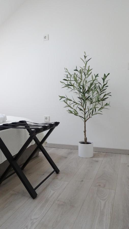 Petite Grey Apartment With Free Private Parking زغرب المظهر الخارجي الصورة